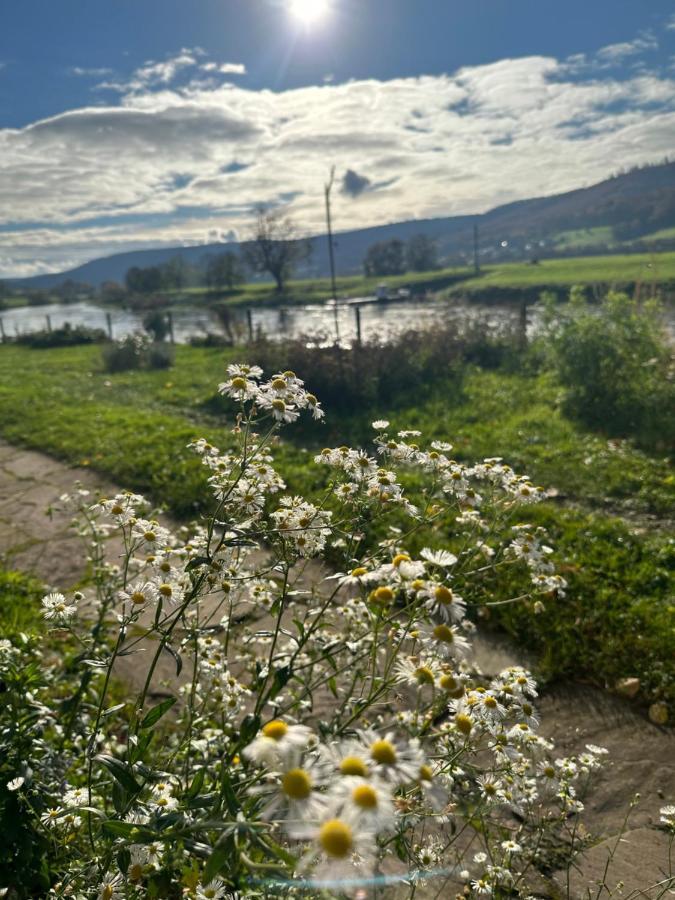 Haus An Der Weser Oedelsheim المظهر الخارجي الصورة